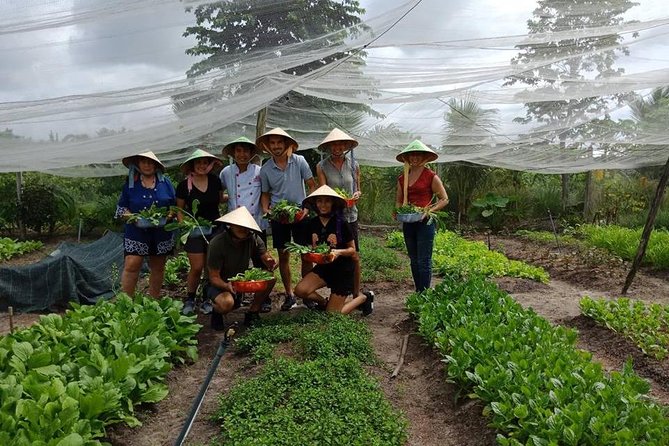 Unique Farm to Table Cooking Class in Saigon - Exploring the Organic Farm