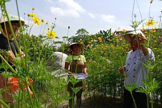 Unique Farm to Table Cooking Class in Saigon - Cooking Traditional Vietnamese Dishes
