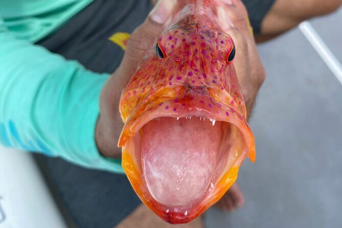 Unique in Raiatea: discover the lagoon, fish, cook, enjoy! - Final Thoughts