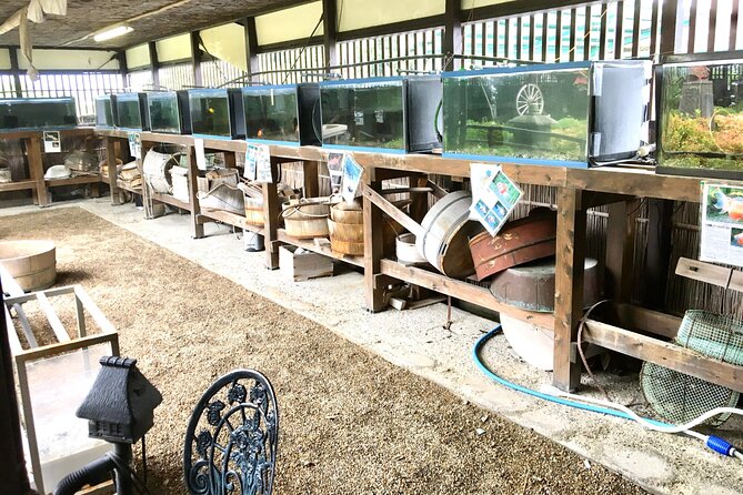 Unique One-Day Goldfish Experience in Yamato-Koriyama - Meeting and Pickup