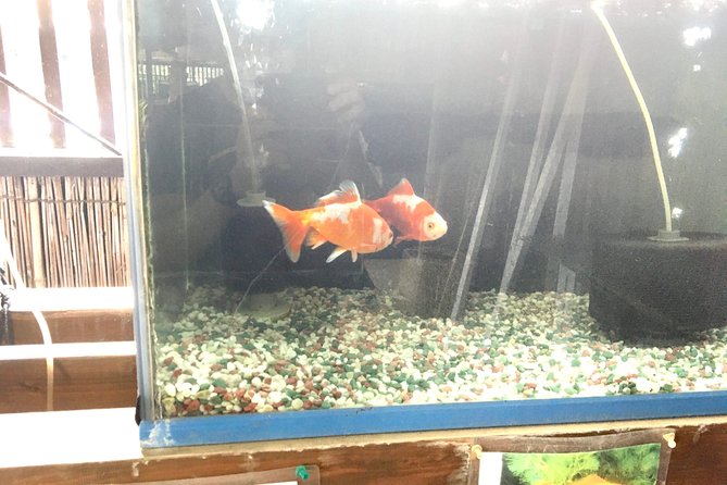 Unique One-Day Goldfish Experience in Yamato-Koriyama - Exploring Yamato-Koriyama
