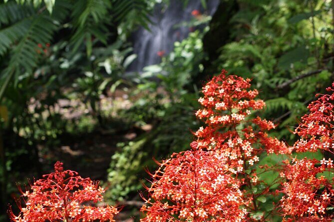 Unique Tahiti tour to Teahupoo, small group, full day combo tour - FAQs