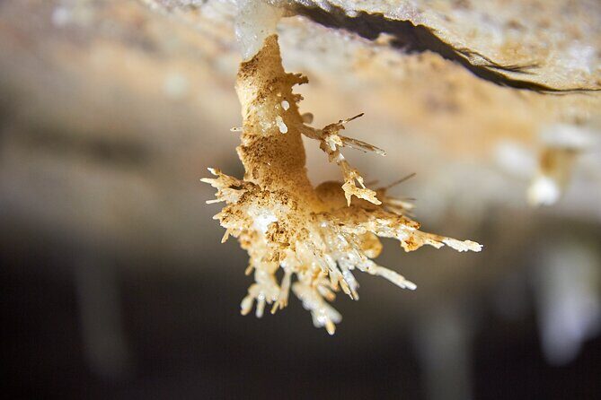 Unique Underground Experience in Soprador do Carvalho Cave - FAQs