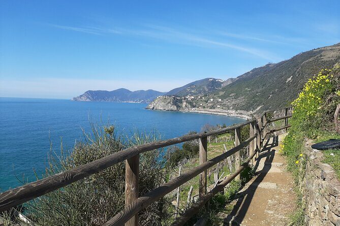 Uniquely classic Cinque Terre - Exploring Cinque Terre in Depth