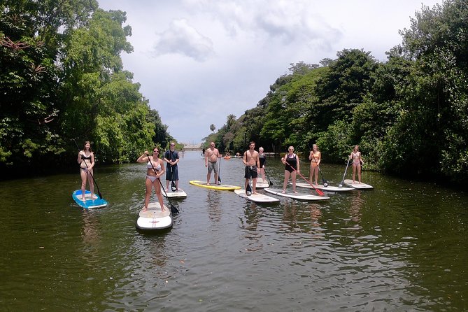 Uniquely Personalized Private Island Tour on Oahu, Hawaii - Taking in Hawaiian Culture