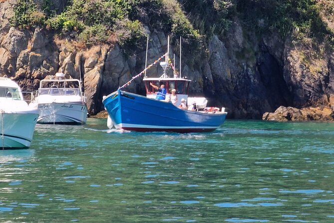 Unrivalled Coastal Tour to Saints Bay Harbour - Whats Included in the Experience