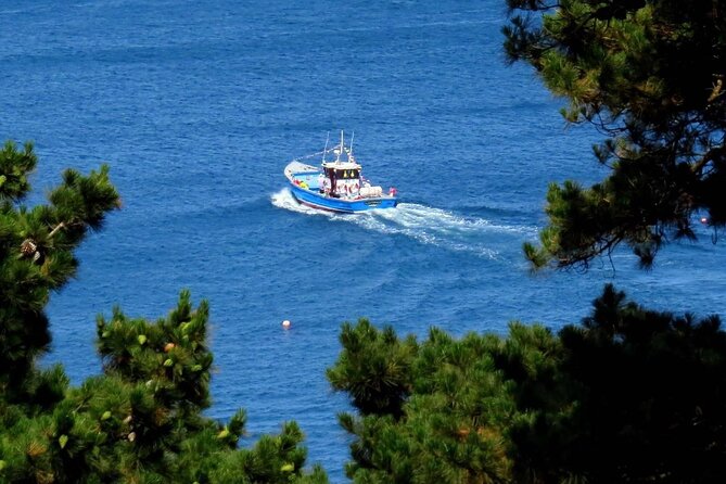 Unrivalled Coastal Tour to Saints Bay Harbour - Local Interactions and Highlights