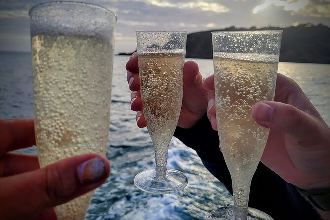 Unrivalled Coastal Tour to Saints Bay Harbour - Scenic Views Along the Coast