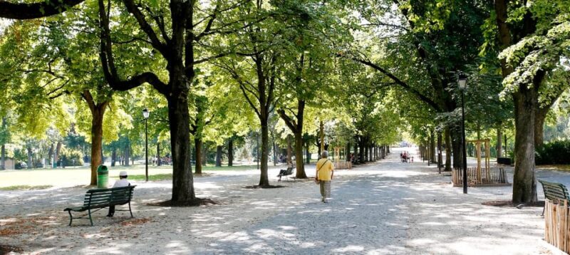 Unusual Audio Tour of Geneva - Why Choose This Audio Tour?