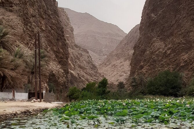 Unveiling the Hidden Paradise Wadi Shab Expedition - Navigating the Challenging Hiking Trails