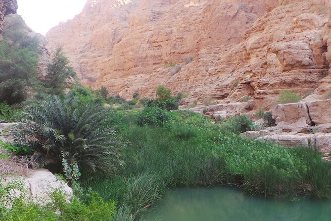 Unveiling the Hidden Paradise Wadi Shab Expedition - Relishing the Local Culinary Delights