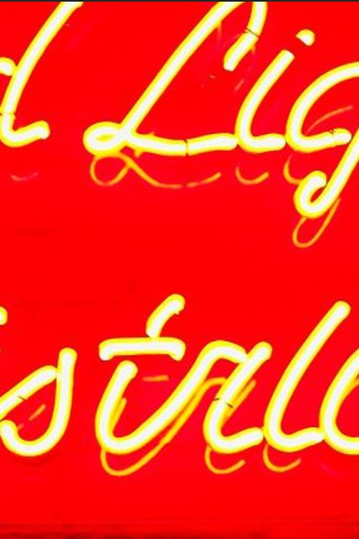 Unveiling the Secrets: The Evolution of Redlight District. - Social Attitudes and Perceptions