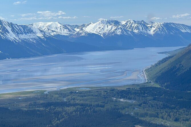 Up to 10 Person Seward to Anchorage Cruise Ship Transfer - Why Choose This Transfer?