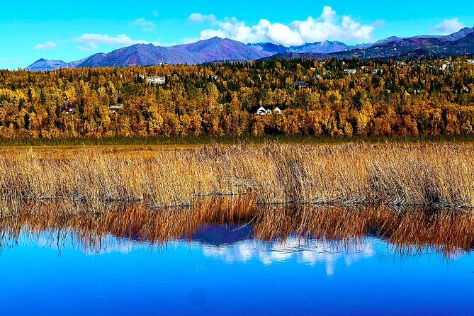 Up to 10 Person Seward to Anchorage Cruise Ship Transfer - The Scenic Drive: What You’ll See and Hear