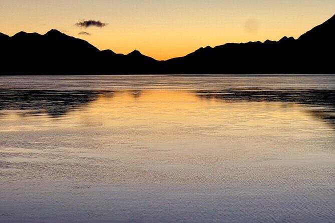 Up to 5 Person Private Anchorage to Seward / Seward to Anchorage - Final Thoughts