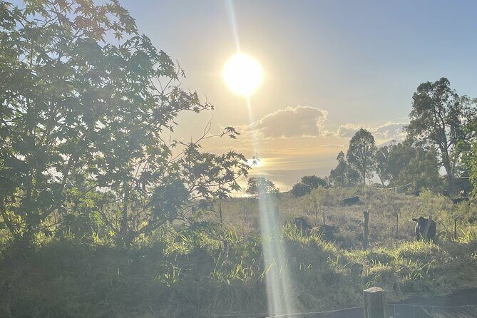 Upcountry Sunset Tour - An In-Depth Look at the Upcountry Sunset Tour