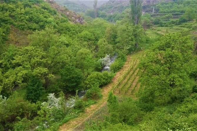 Uplistsikhe Tour With Stalin Museum & Medieval Churches - Private Transportation and English-Speaking Guide