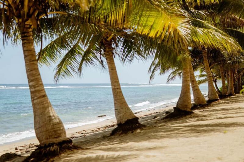 Upolu Samoa Full Day Private Tour - What to Expect and Practical Details