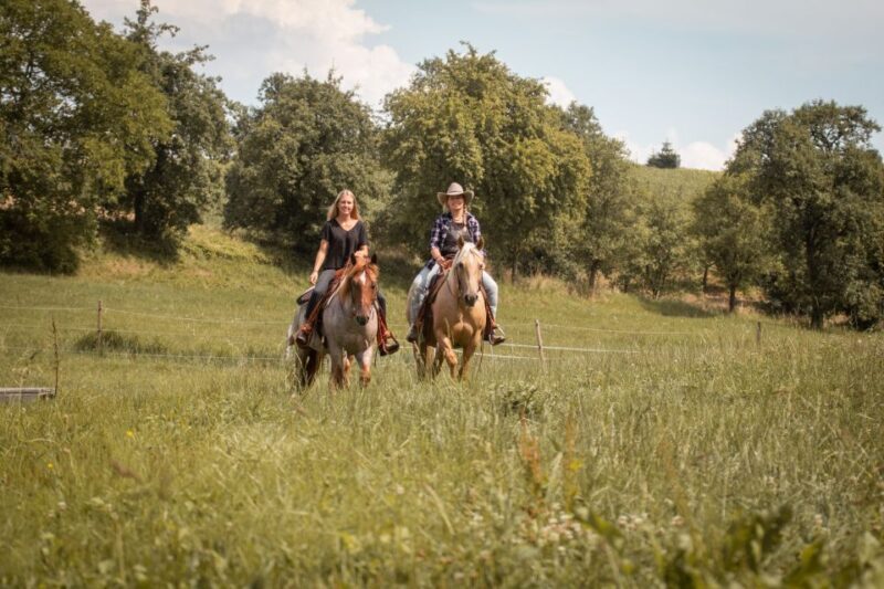 Upper Austria: landscape, forests, meadows - Key Points