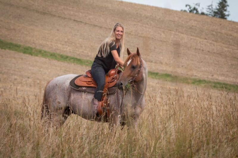 Upper Austria: landscape, forests, meadows - A Closer Look at the Horseback Hiking Experience in Upper Austria