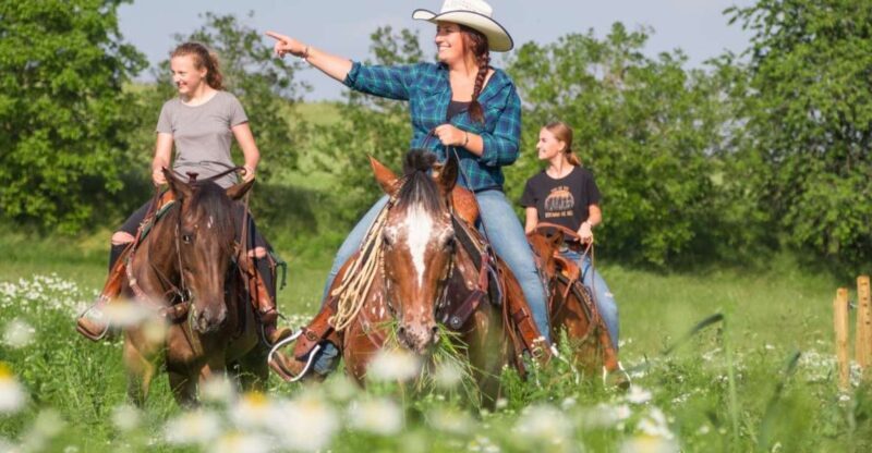 Upper Austria: landscape, forests, meadows - Who Will Love This Experience