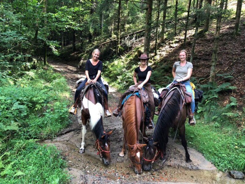 Upper Austria: landscape, forests, meadows - Final Thoughts