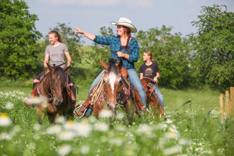 Upper Austria: Landscape, Forests, Meadows - Equestrian Adventures