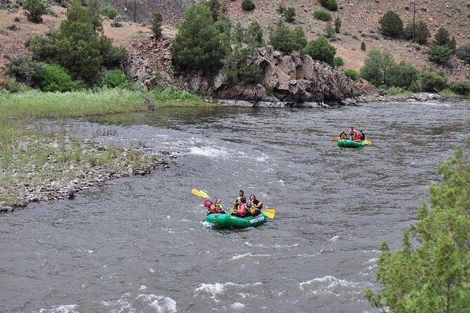 Upper Colorado River Scenic Float Trip - Half Day - Customer Reviews