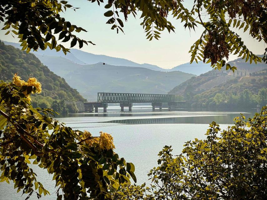 Upper Douro Valley - the Crown Jewel - Culinary Exploration