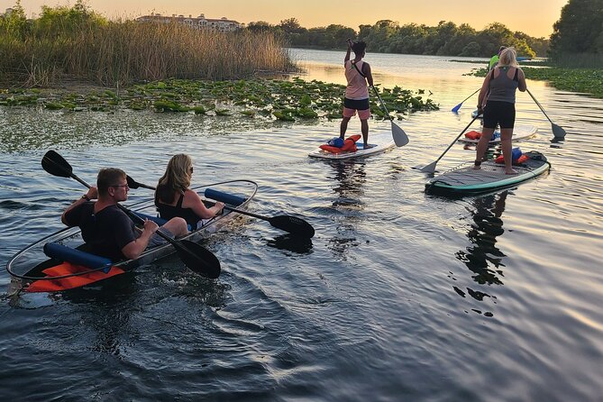 Urban Clear Kayak or Clear Paddleboard in Paradise: Morning/Night - Tour Options