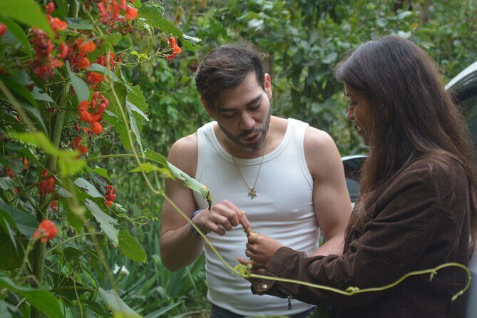Urban Orchard in Desierto de los Leones in Mexico City - Discovering the Urban Oasis in Desierto de los Leones