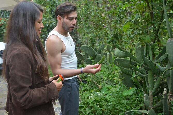 Urban Orchard in Desierto de los Leones in Mexico City - What to Expect from the Tour