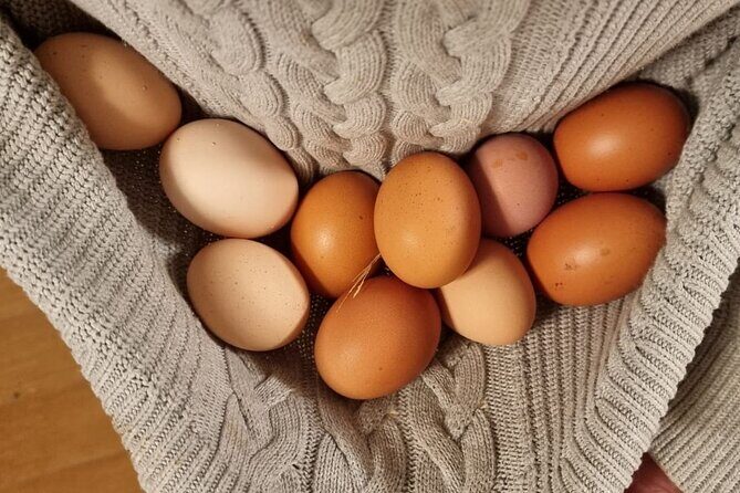 Urban Orchard in Desierto de los Leones in Mexico City - Inclusivity and Comfort