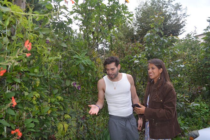 Urban Orchard in Desierto de los Leones in Mexico City - What Travelers Say