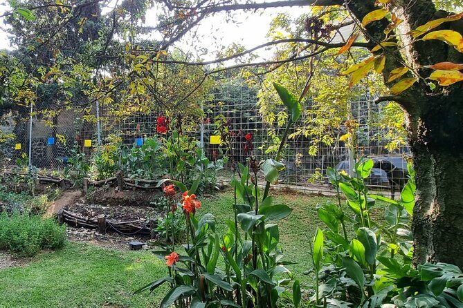 Urban Orchard in Desierto de los Leones in Mexico City - The Sum Up