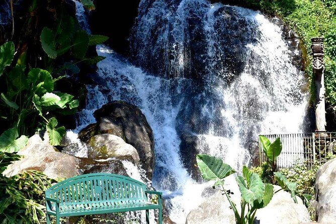 Uruapan Eco Tour with Breakfast - Final Thoughts