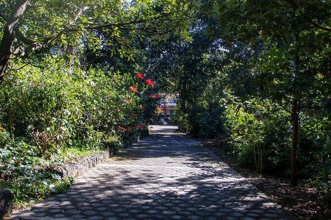 Uruapan Tour and Avocado Garden with Breakfast - Key Points