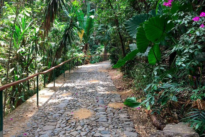 Uruapan Tour - Authentic Experiences and Real Feedback