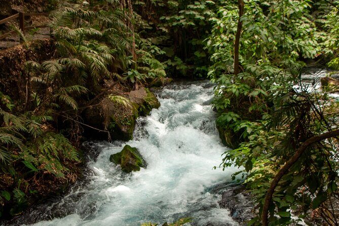 Uruapan Tour - The Sum Up: Who is this tour best for?