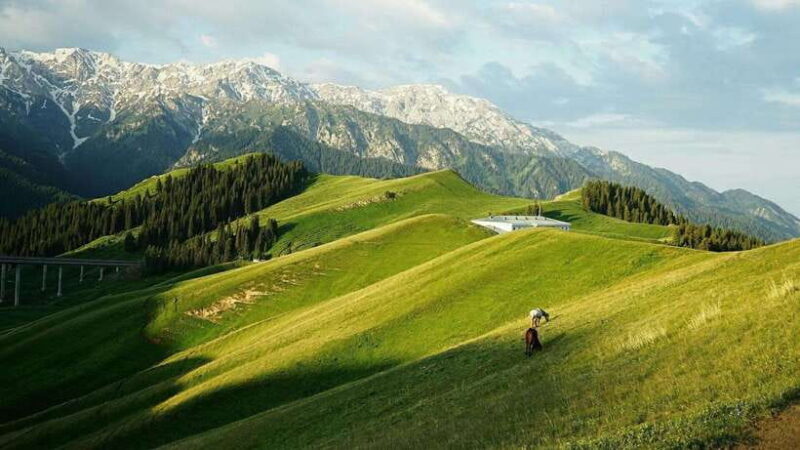 Urumqi: 8-Day Private Tour to Sayram Lake and Yining - Key Points