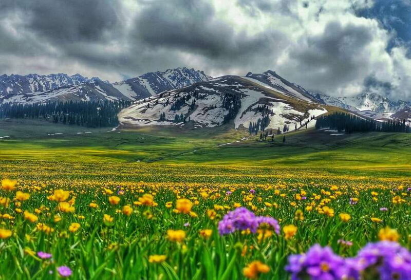 Urumqi: 8-Day Private Tour to Sayram Lake and Yining - Who Will Love This Tour?
