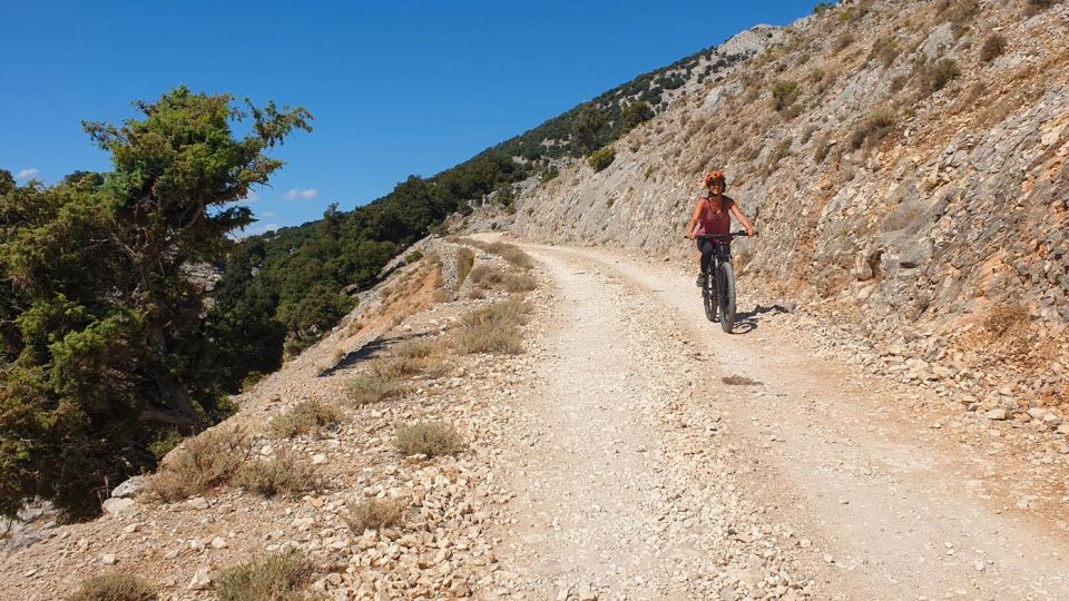 Urzulei: Supramonte Guided E-Bike Tour With Aperitif - Visiting the Sheepfold