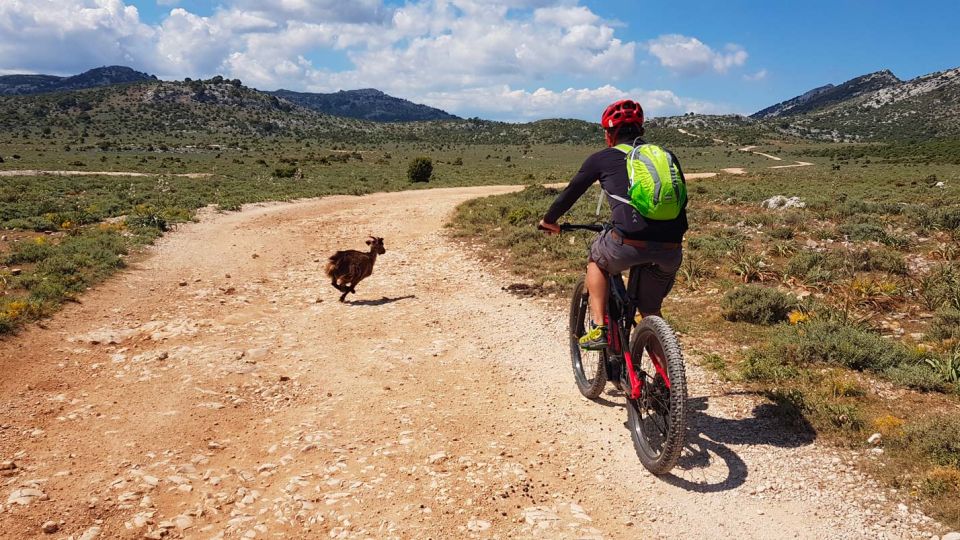 Urzulei: Supramonte Guided E-Bike Tour With Aperitif - Tasting Local Delicacies