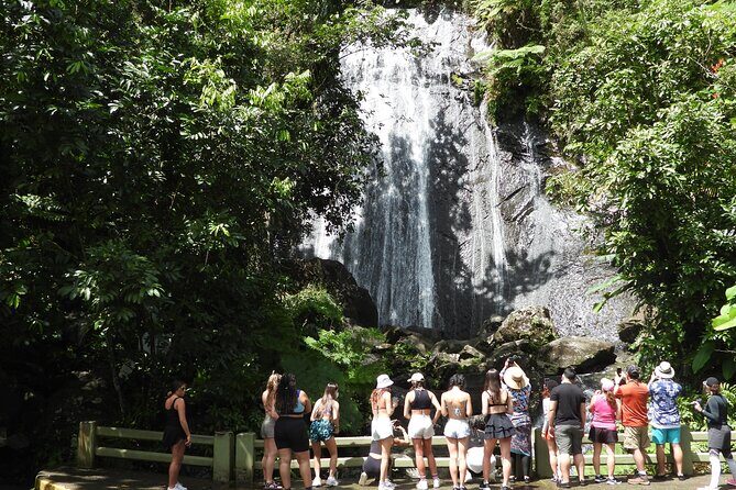 USDA El Yunque National Forest and Luquillo Beach Tour - A Closer Look at the Itinerary