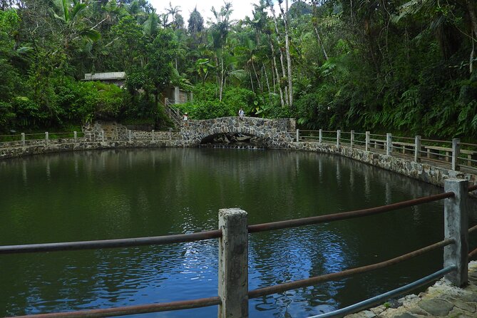 USDA El Yunque National Forest and Luquillo Beach Tour - Tour Overview