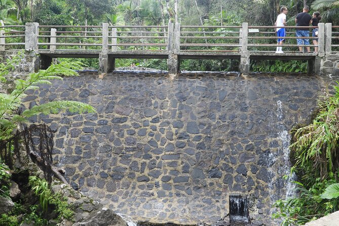 USDA El Yunque National Forest and Luquillo Beach Tour - Safety and Requirements