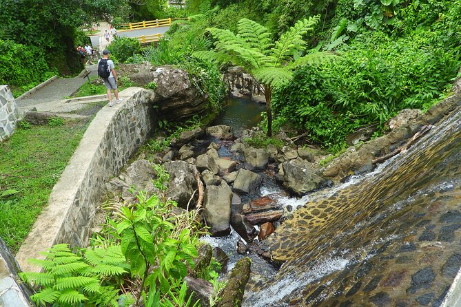 USDA El Yunque National Forest and Luquillo Beach Tour - Customer Feedback