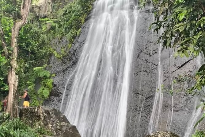 USDA El Yunque National Forest and Luquillo Beach Tour - Transportation and Start Time