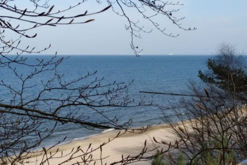 Usedom: Nature Park Tour - Key Points