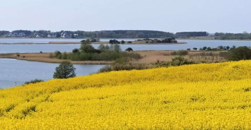 Usedom: Nature Park Tour - Diverse Habitats